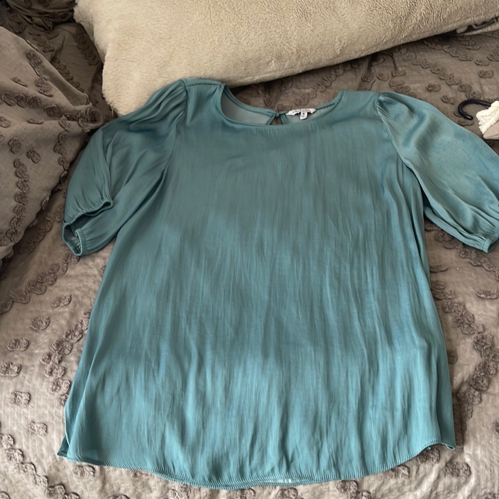 Naked Zebra blouse